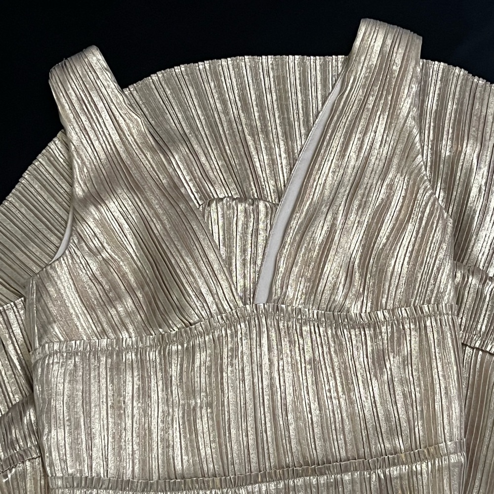 Simkhai Metallic Plisse Dress